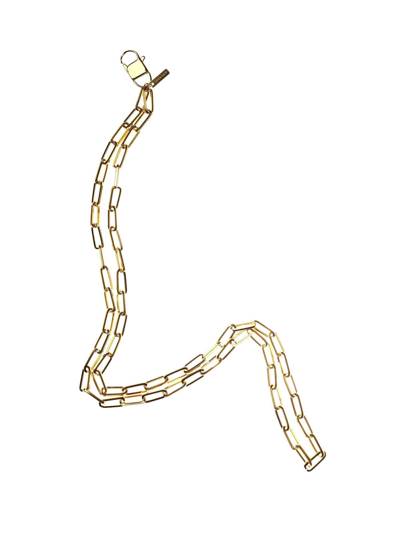 OBLONGY - GOLD Neck Phone Chain & Lanyard | SPECSET